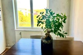 Lägenhet i Sollentuna