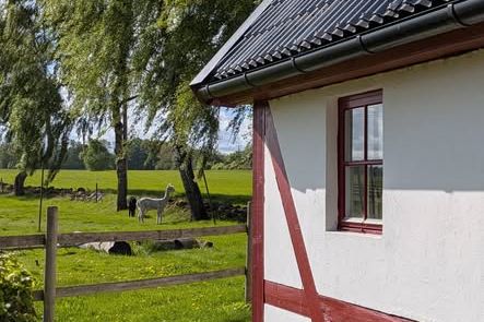 Mysigt studentrum i Rolsberga