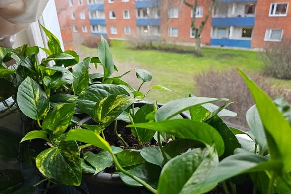 Möblerat rum i lugnt område, Hamberg