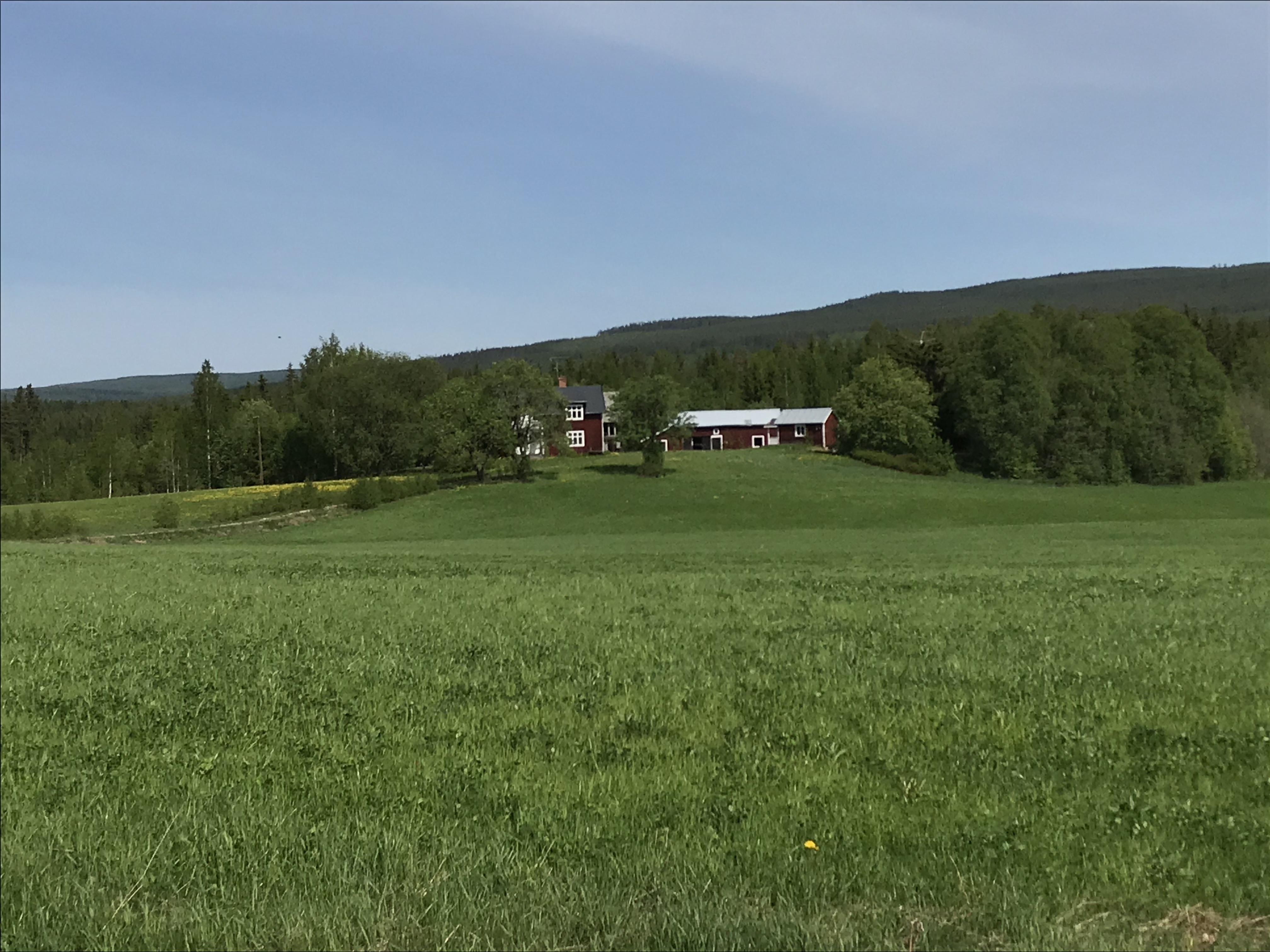Charmigt lantligt hus i Hälsingland med vacker utsikt