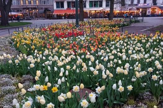 Toppskick 2:a i Nydala uthyres