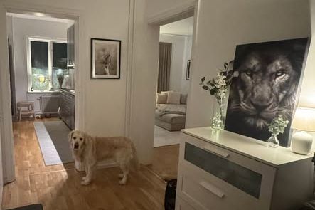Apartment in Sundsvall