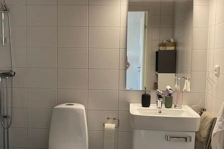 Välplanerad 2:a i Gränby med kvällssol