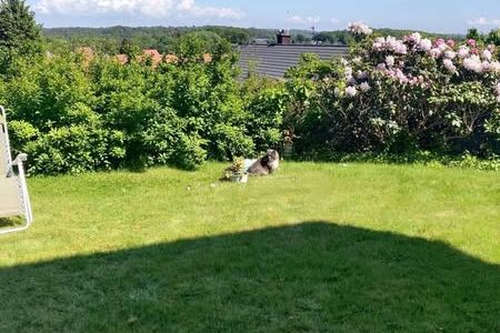 Rum i villa nära havet med bastumys
