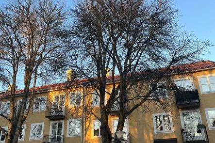 Rum i studentlägenhet nära Ekonomikum
