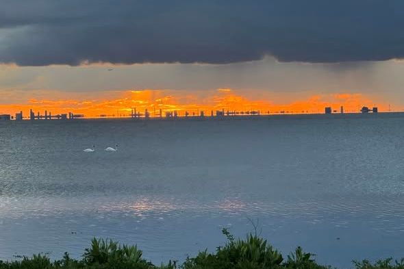 Möblerad trea på Limhamns sjösida