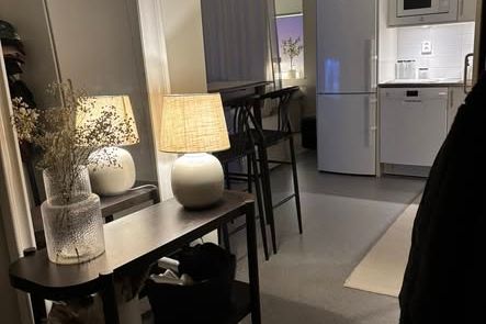 Möblerad 1:a vid Lasarettsparken uthyres