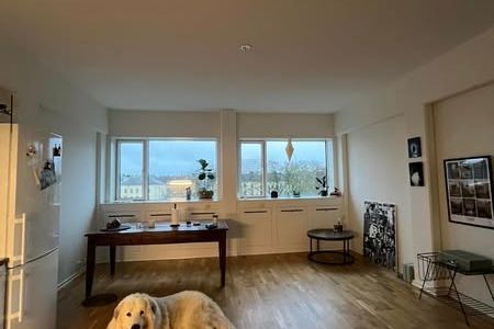 Nyrenoverad 2:a centralt i Malmö