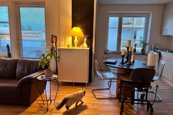 Möblerat rum nära Älvsjö + kattmys!