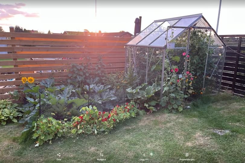 Sommarboende i Videdal med trädgård