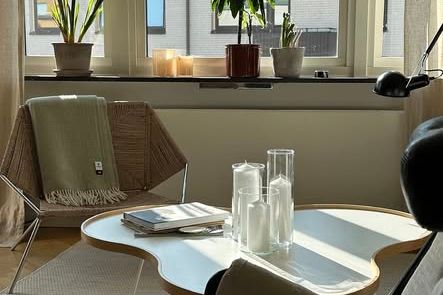 Möblerad etta med balkong i centrum
