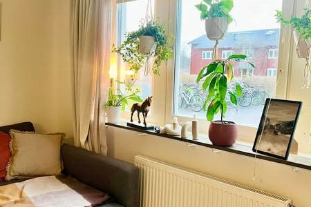 Möblerad etta nära SLU uthyres
