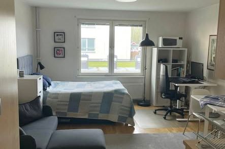 Möblerad etta i Colonia vid LiU