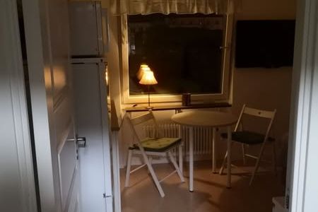 Möblerat rum nära centrum med egen ingång