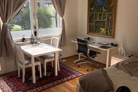 Möblerad 1:a i Kåbo uthyres HT26