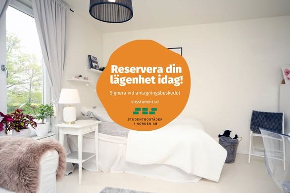 Studentetta nära Linnéuniversitetet