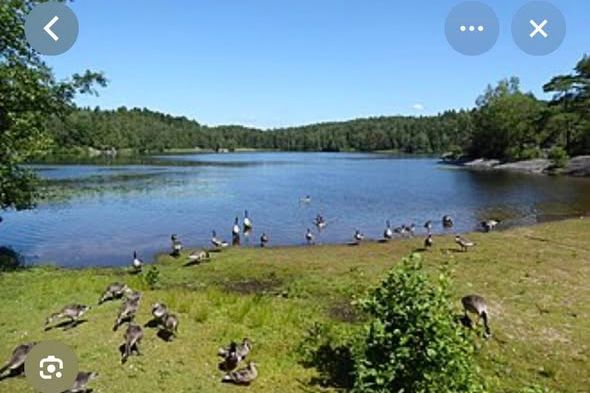 Nyrenoverad våning i villa Angered