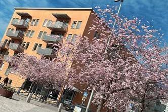 Nybyggd 2:a vid Märsta torg uthyres