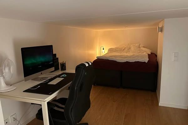 Ljus etta med loft och uteplats i Vallastaden