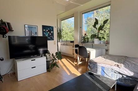 Möblerad etta i Irrblosset nära Campus