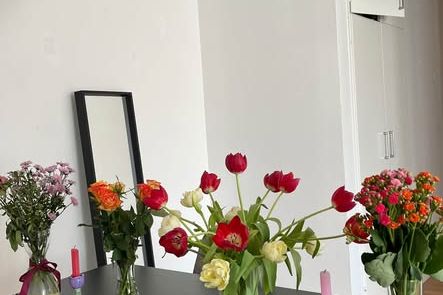 Female Roommate in Central Malmö