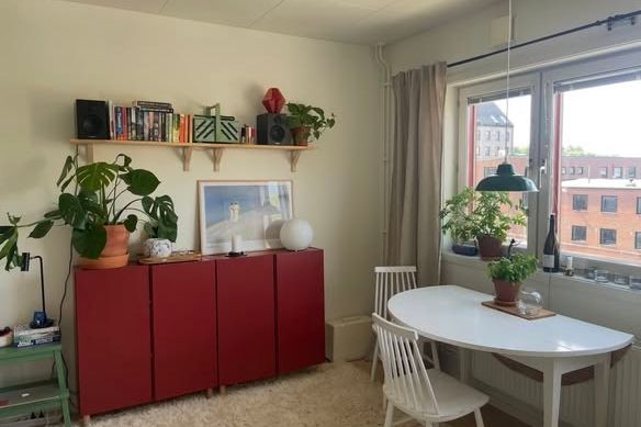 Mysig studentetta i Sandarna – sommar