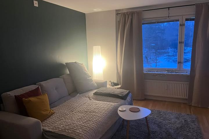 Möblerad 1:a med balkong vid Frölunda