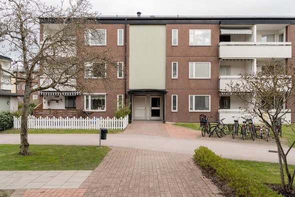 Fin 3:a i Djurängen nära Hansa City