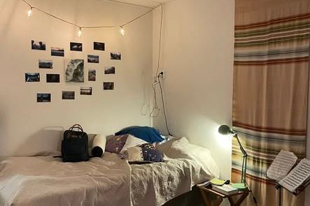 Möblerat studentrum nära Slottsskogen