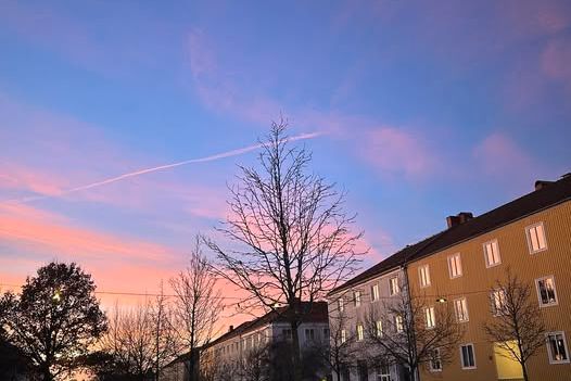 Mysig 1:a i Kålltorp uthyres våren 2024