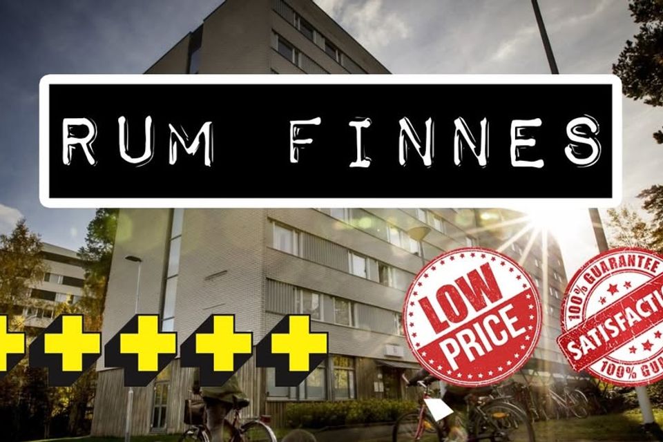 Rum i Flogsta med charmig katt