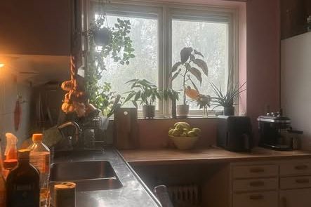 Rum i mysigt queer-kollektiv i Biskopsgården
