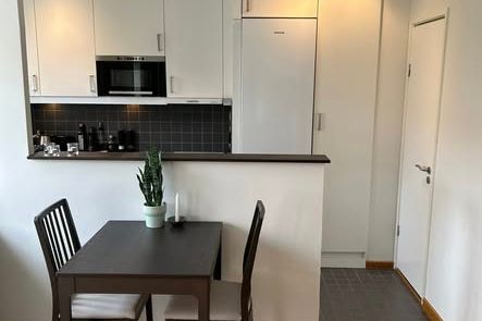 Möblerad etta nära LTH, inkl. allt