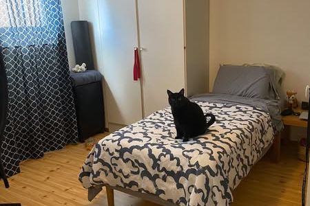 Room in cozy Ekeby house, pets allowed!
