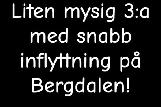 Fin 3:a med hiss i Bergdalen – 67 m²