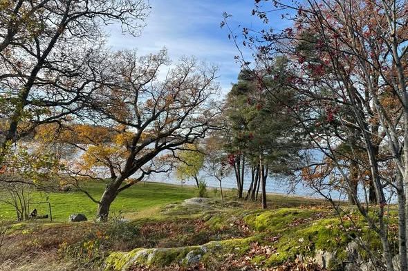 Mysig 1:a med stor balkong i Sätra