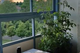 Ljus 2:a med solig balkong i Malmö