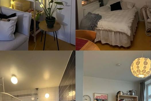 Mysig studentetta vid Telefonplan