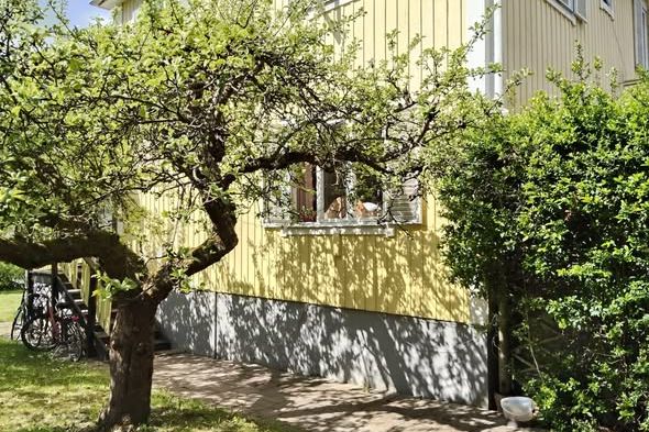 Rum i kollektiv i Huddinge – sommar